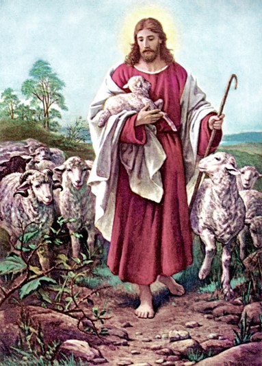 Jesus Lamb